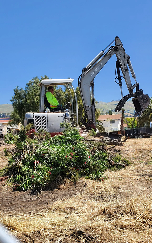 A person operates an excavator removing debris from a dirt field on a sunny day.